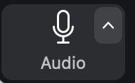 Audio button on Zoom meeting