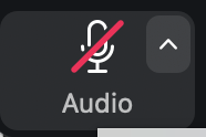 Audio button noting you're muted on a Zoom meeting