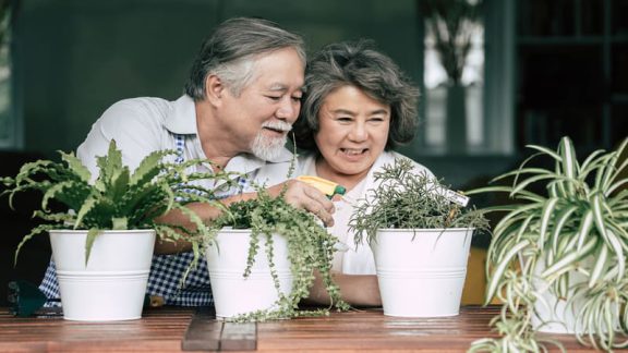 Couple container gardening Photo by Prakasit | Dreamstime. The inevitable changes of aging don’t need to keep you from gardening and yard work if you follow these safe gardening tips for seniors.