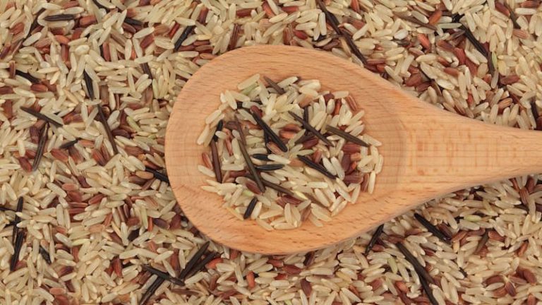 Wild Rice Fact Sheet Wild for Wild Rice | Seniors Guide
