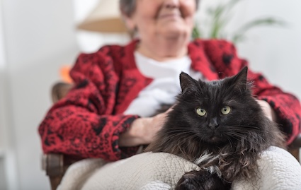woman with cat, wondering do assisted living facilities allow pets. By Thodonal