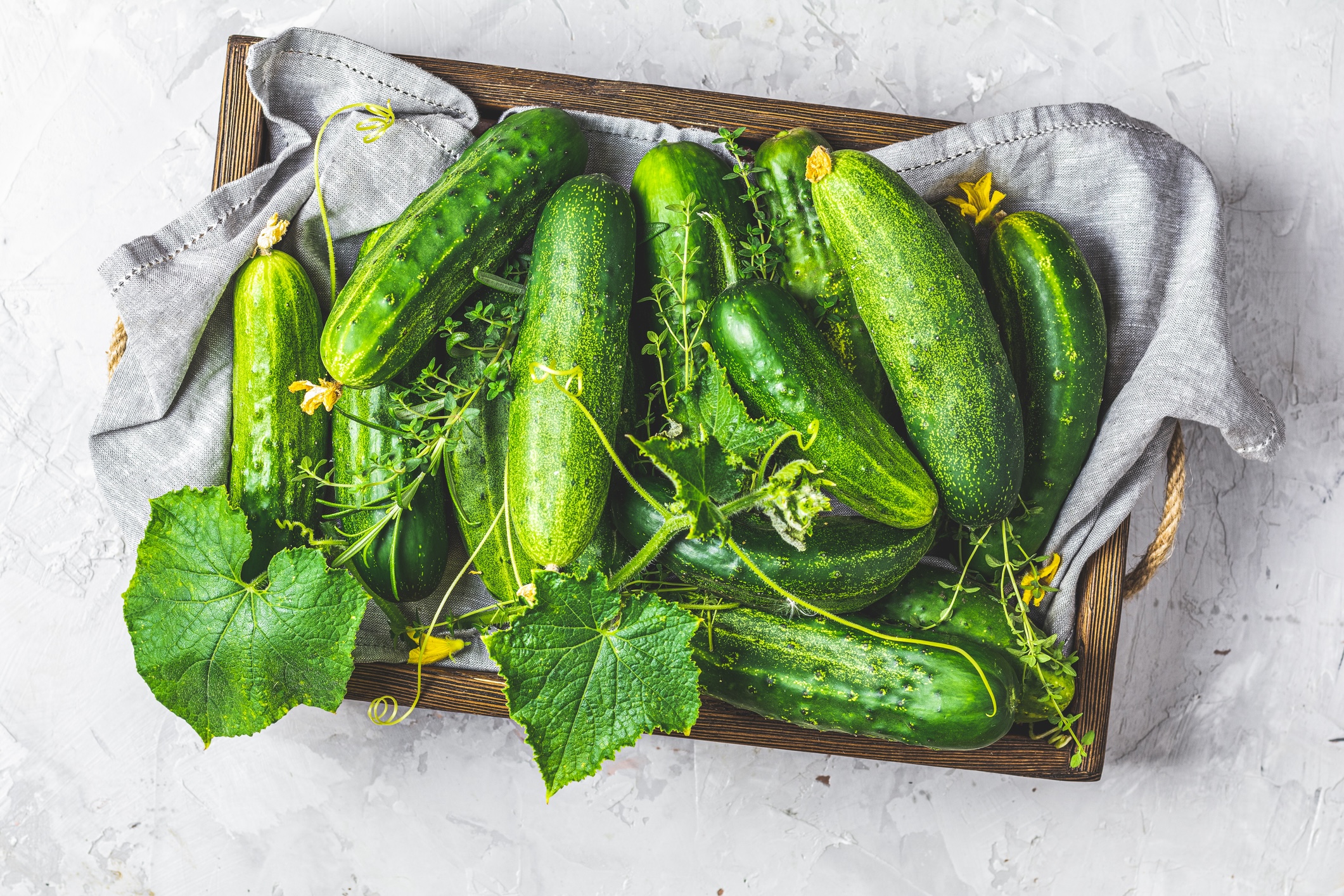 cucumbers, which are a part of healthy eating.