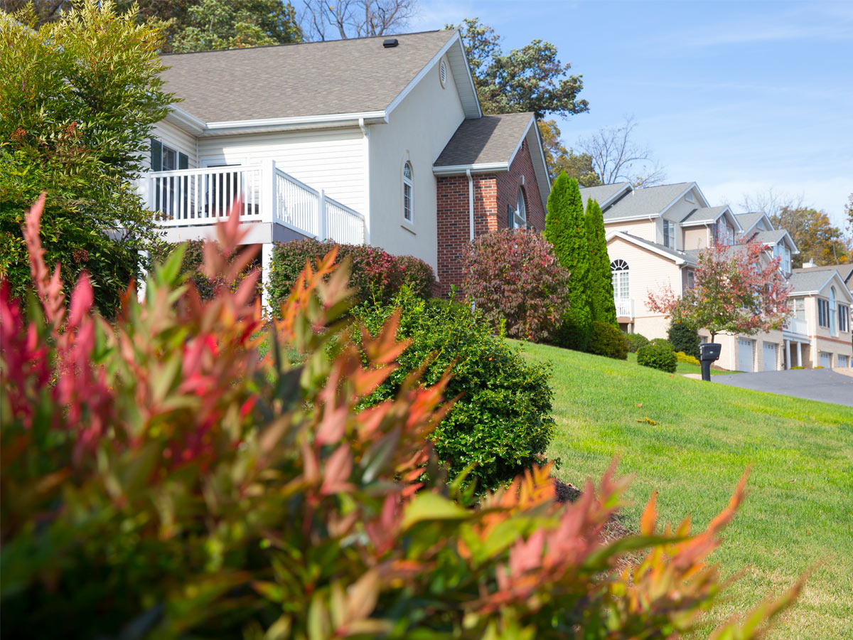 Sunnyside Exterior