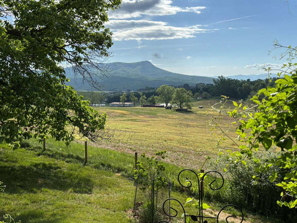 Sunnyside Mountain View