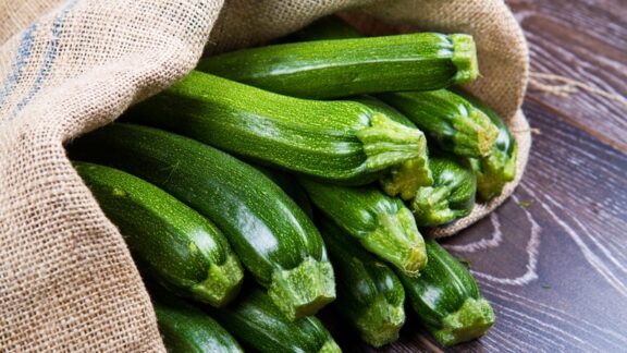 Zucchinis in a sack representing the health benefits of zucchinis