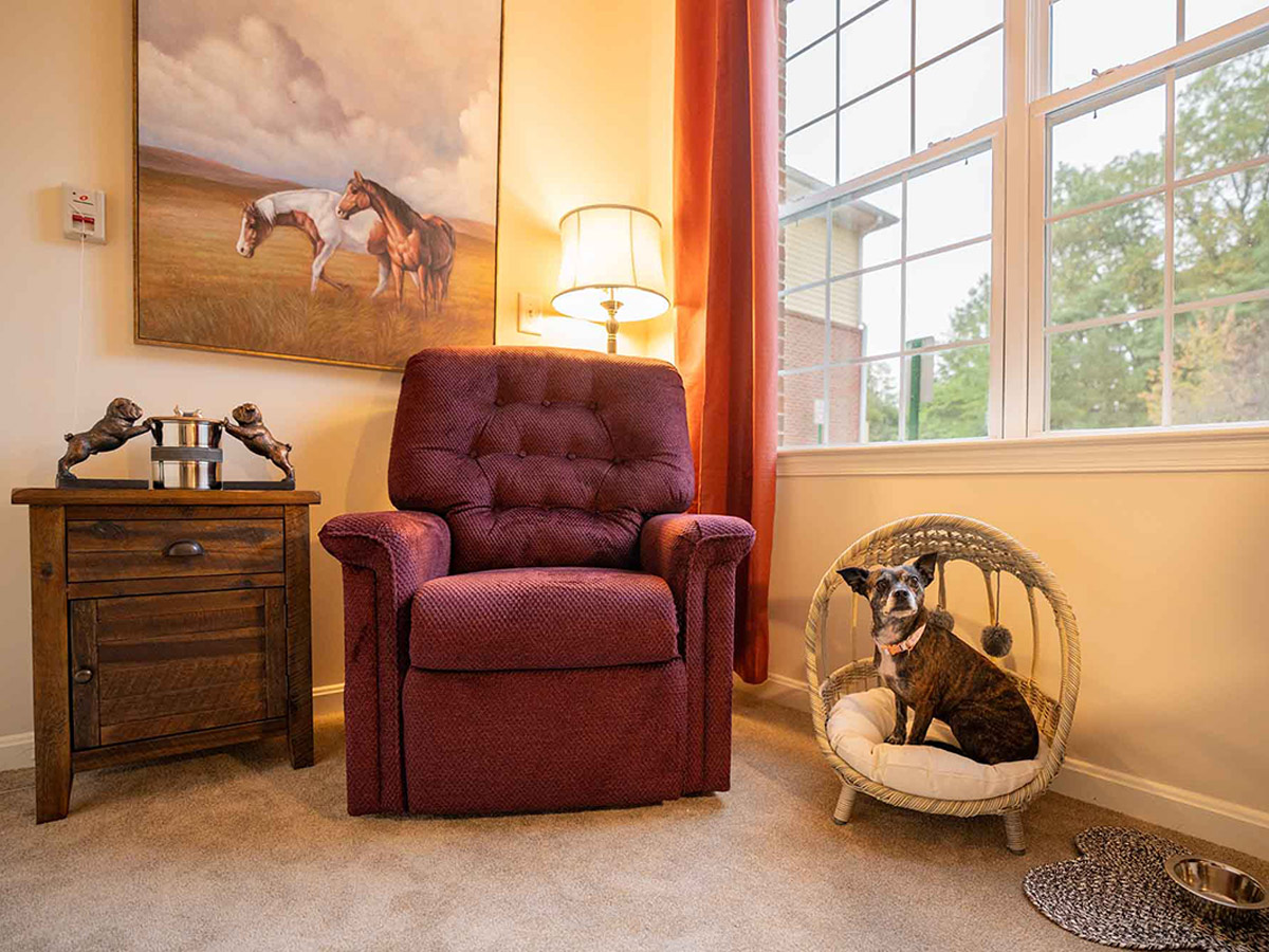Chesterbrook Residences Living Room with Dig