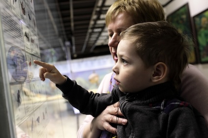 A grandmother with her young toddler grandson at a museum, demonstrating benefits of multigenerational travel for seniors.