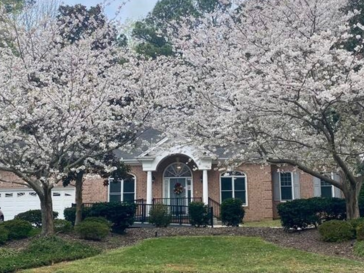 LiveWell Home Care Wessex in Cary