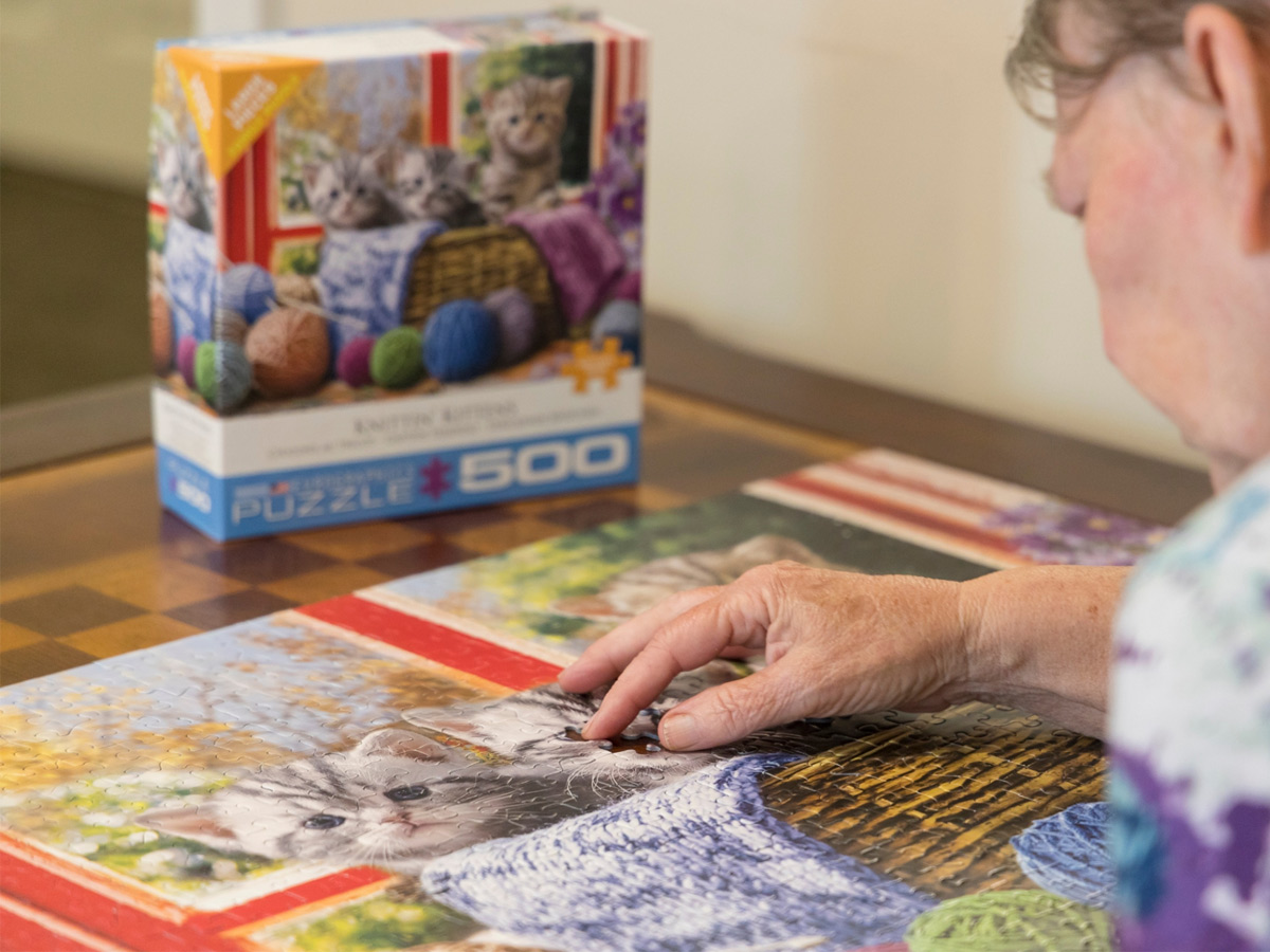 Cadence Garner Puzzle