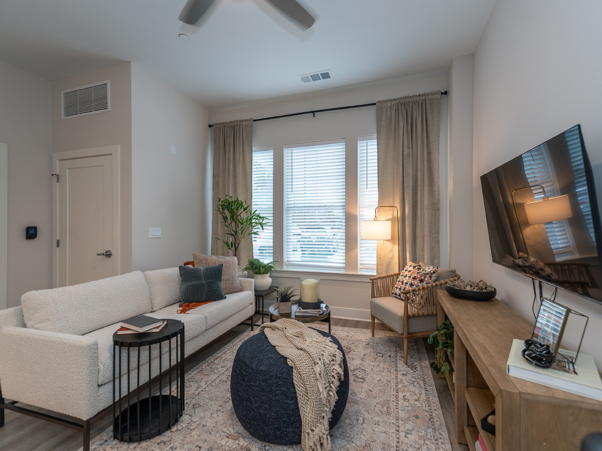 Acclaim at Greenbrier Living Room