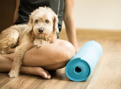 Dog with woman doing yoga, showing benefits of pet-friendly exercise trends.
