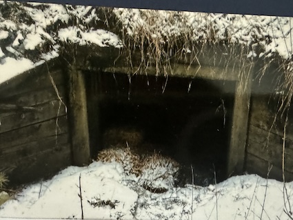 The cattle chute that was Marian Underdahl's portal to the imagination as a child.