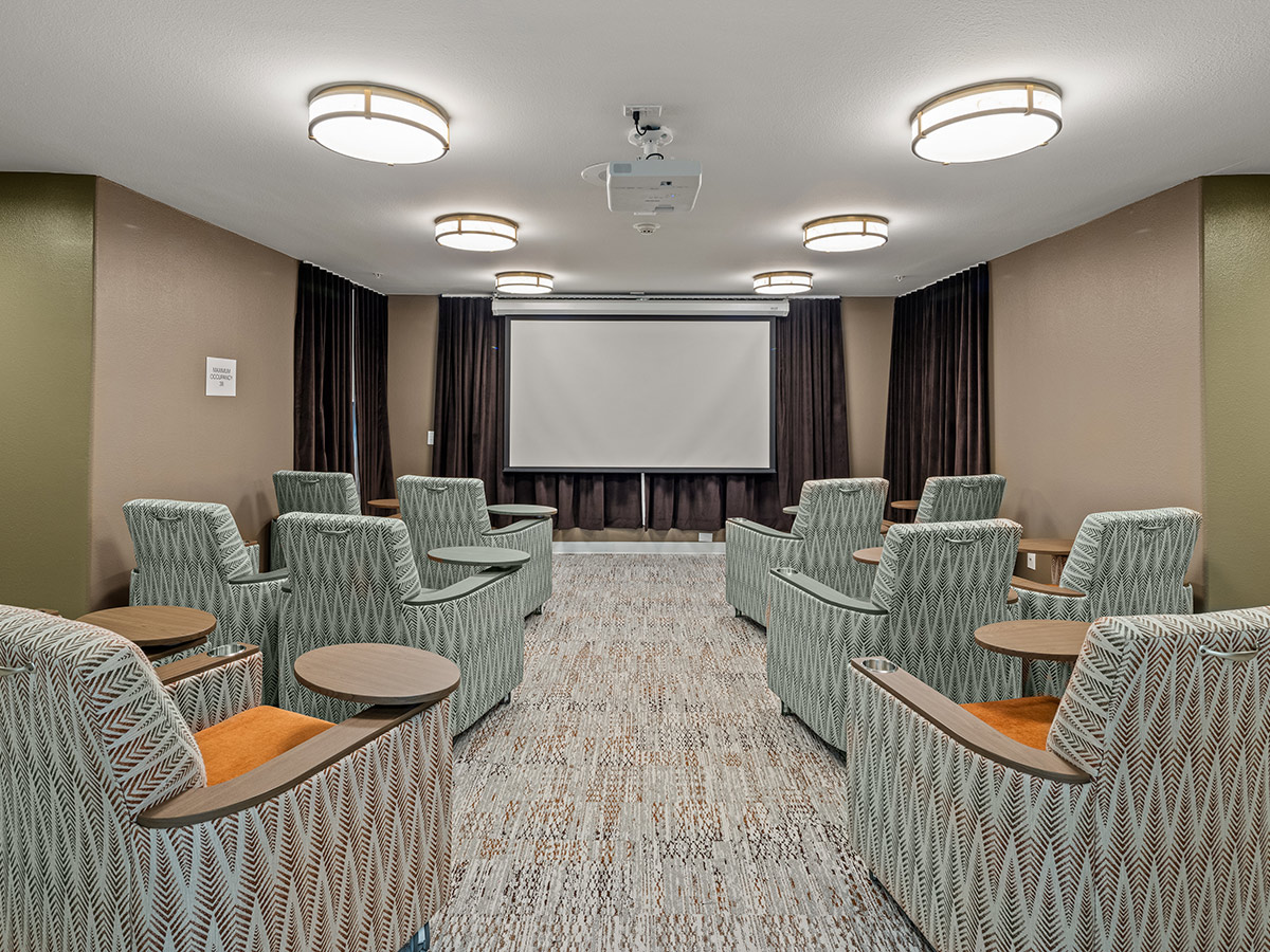 Copperfield Estates Movie Room