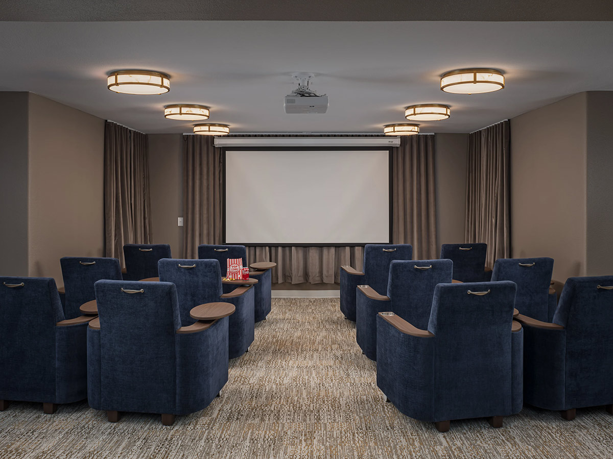 Cypress Woods Movie Room
