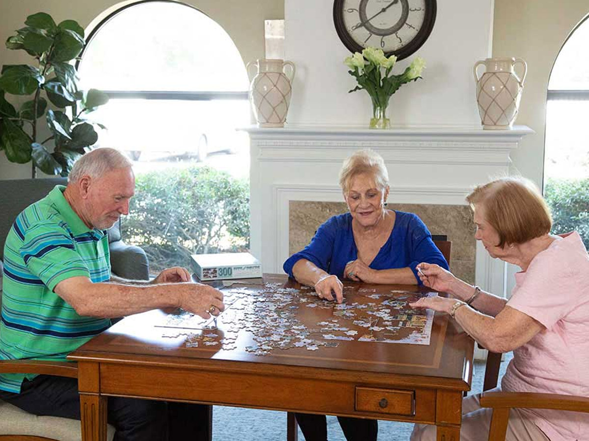 Kempton of Hermitage Friends with Puzzle