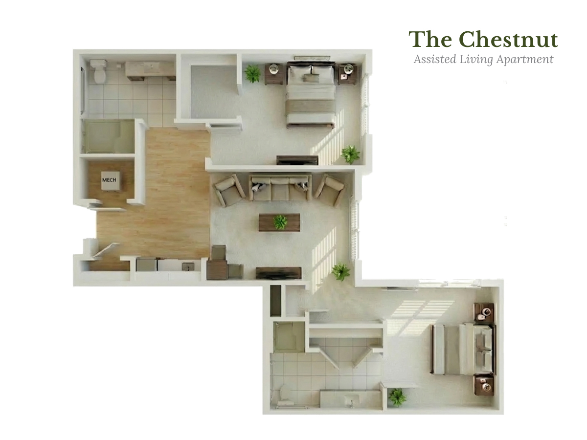 The Arbors at Battlefield Chestnut Floor Plans