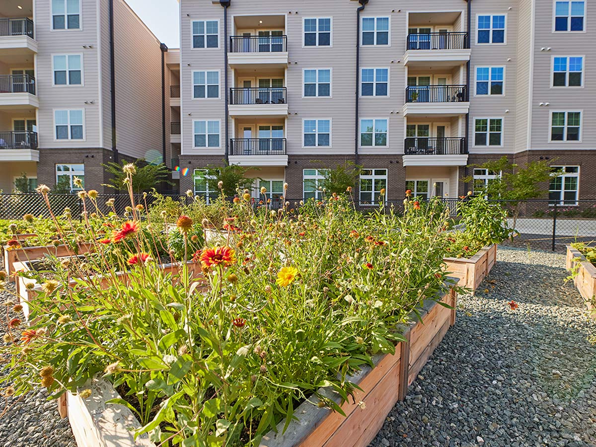 Inspire Briar Chapel Community Garden