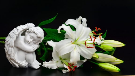 Grieving flowers from a relative that never received a thank you.