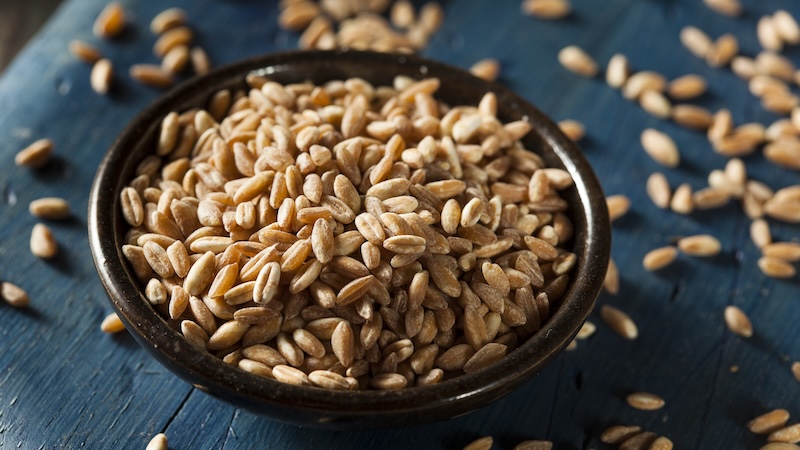 Grains of farro in a black bowl