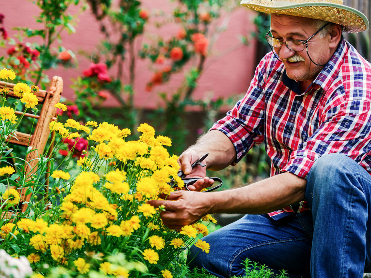 The Gardens at Virginia Beach Man Gardening