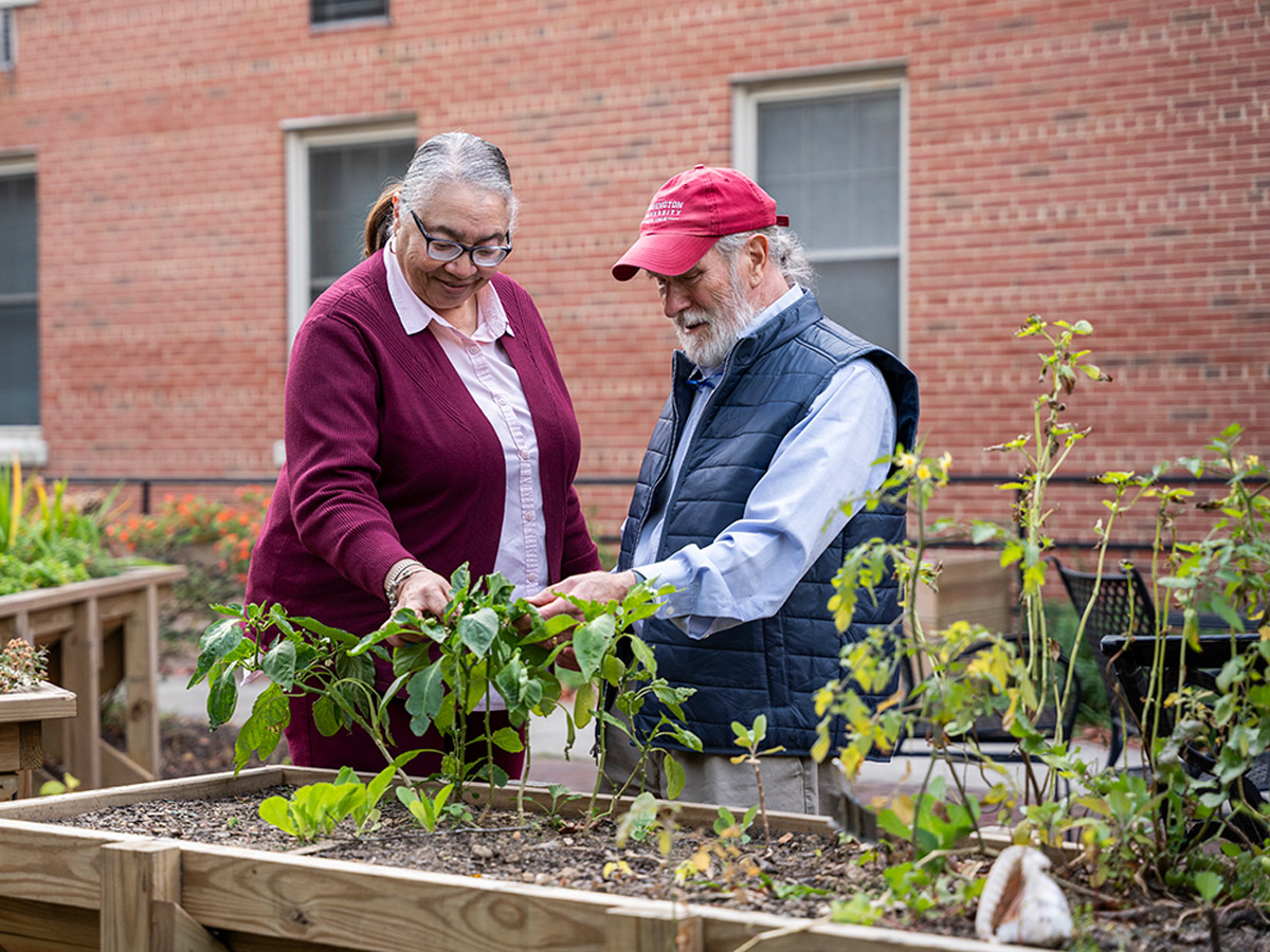 Hermitage Richmond Friends Gardening