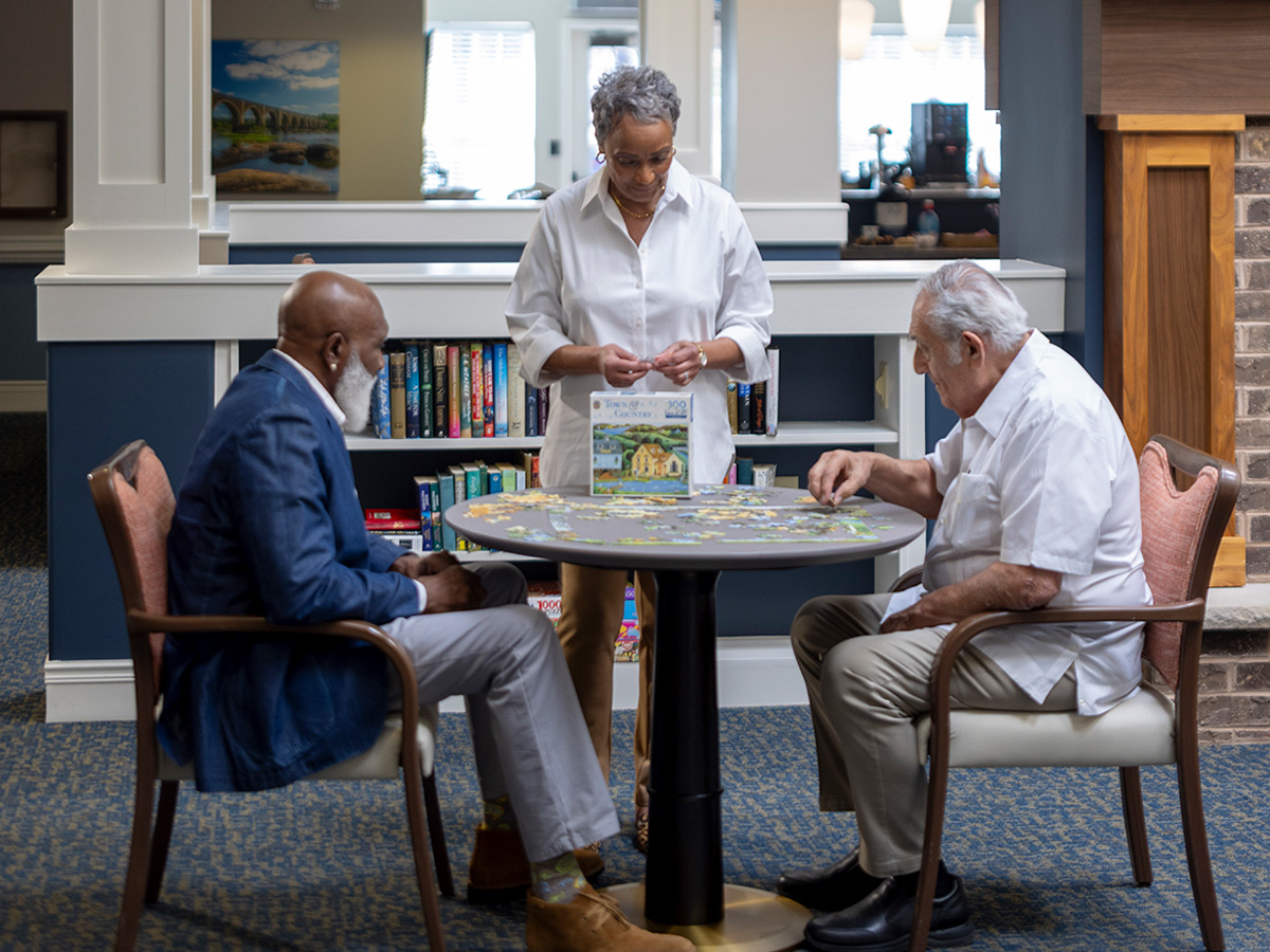 Hermitage Three Chopt Friends Solving Puzzle
