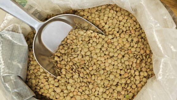 A big scoop of lentils