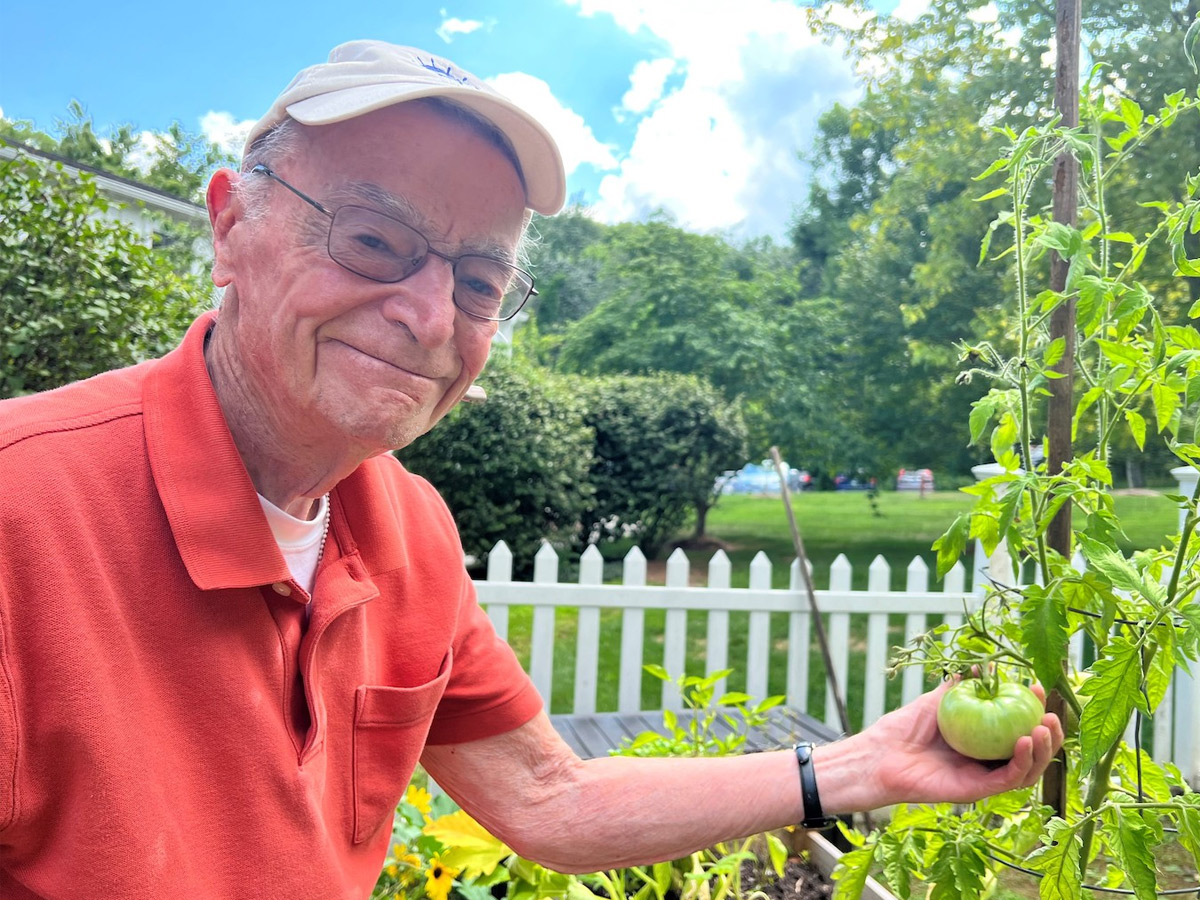 Maplewood at Twinsburg Man Gardening Tomatoes