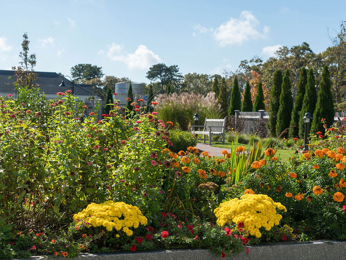 Maplewood at Brewster Flower Bed