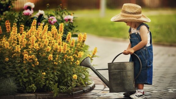 a child with a big watering can, watering plants, invoking garden nostalgia. Ababaka