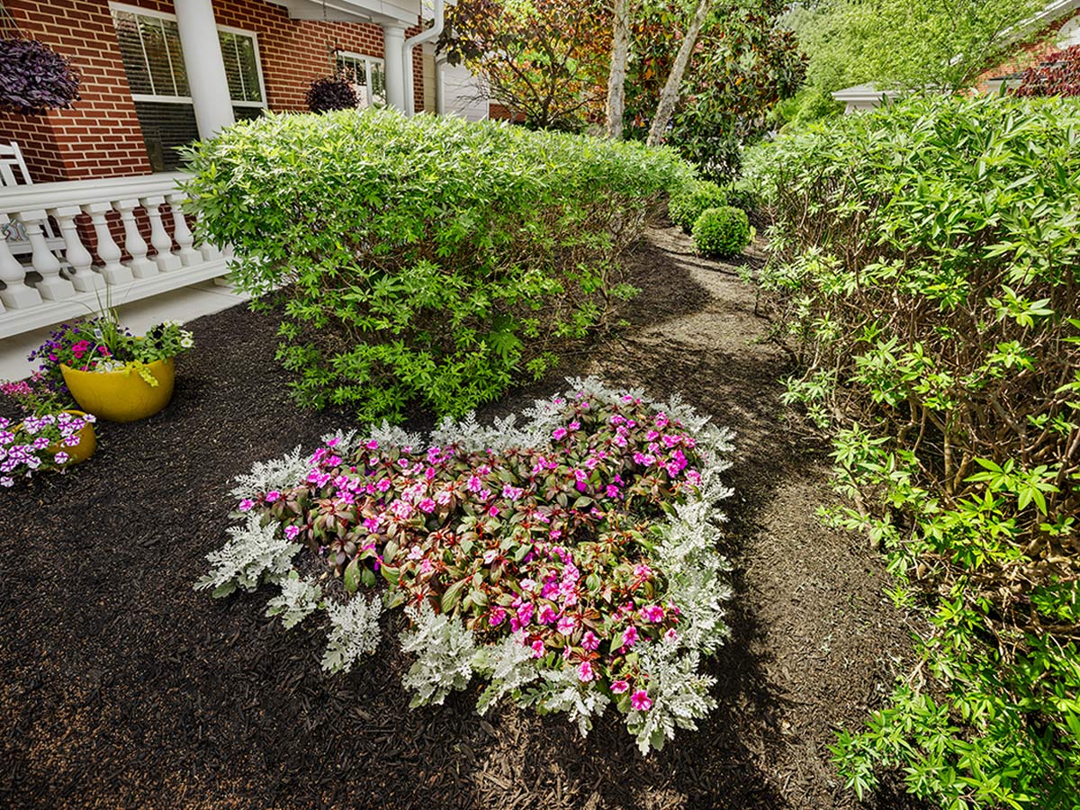Hermitage Three Chopt Flower Bed