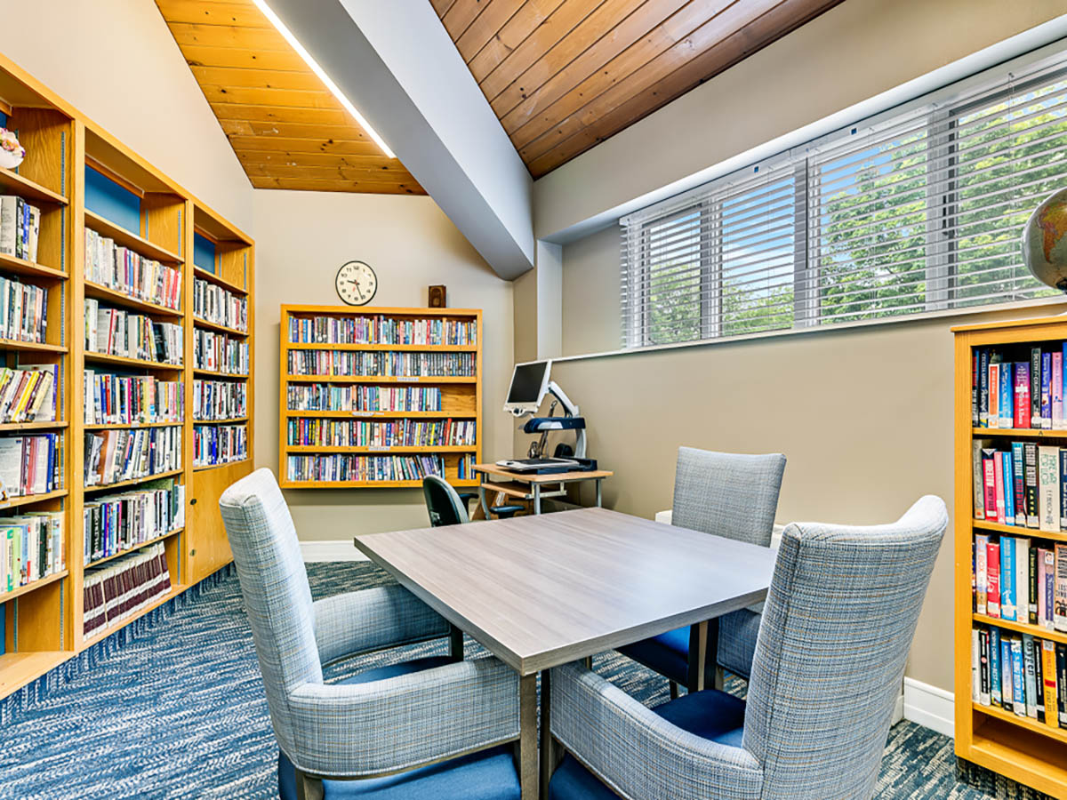 Winter Village Library