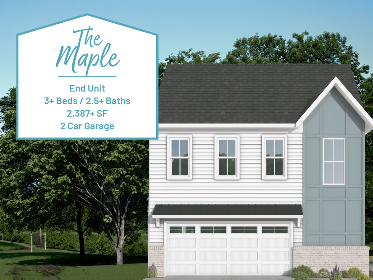 The Maple Rendering