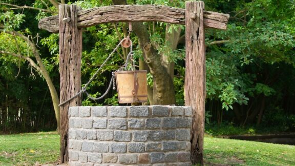 raw water from a well bucket