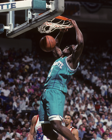 Larry Johnson of the Charlotte Hornets. Gerald T. Coli
