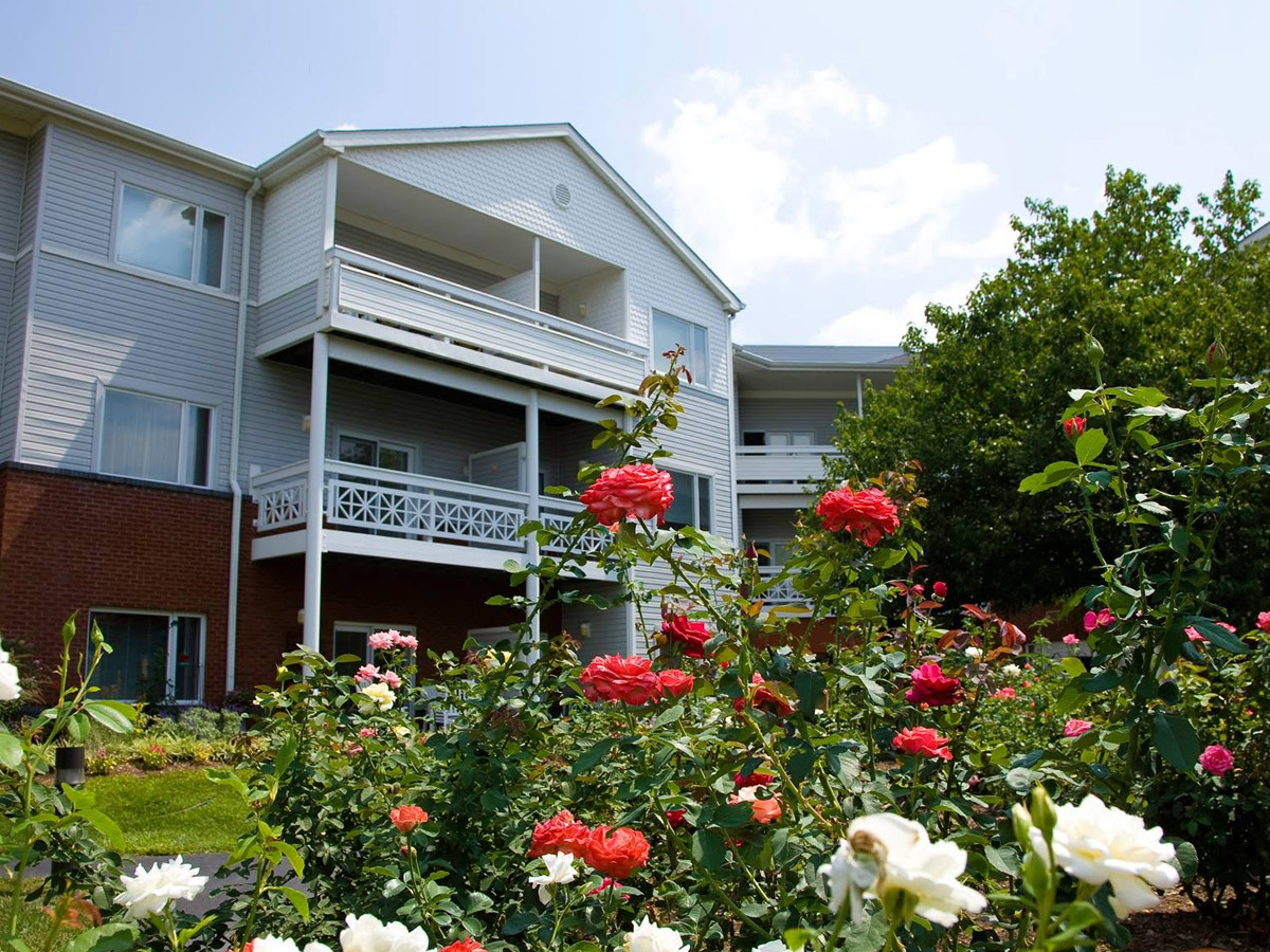 Brandon Oaks Exterior Rose Bushes