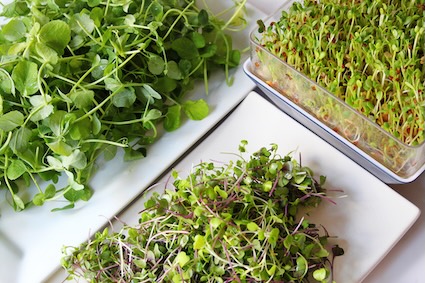 fruits and microgreens